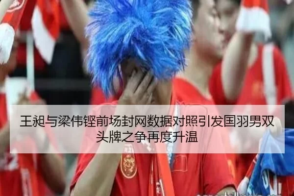王昶与梁伟铿前场封网数据对照引发国羽男双头牌之争再度升温（worldcup）